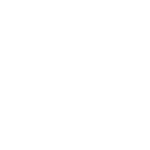 Icon Elektroauto